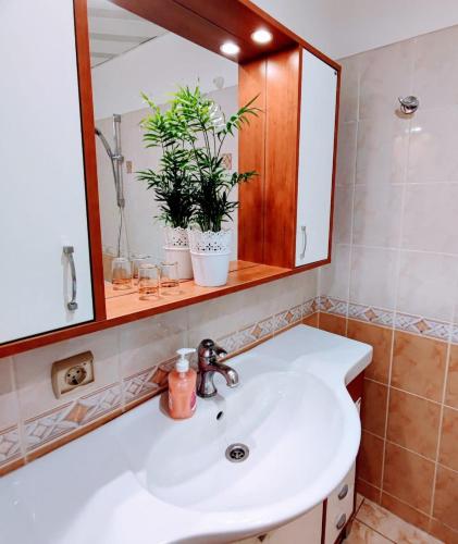 a bathroom with a sink and a mirror and plants at Perfect flat city centre in Sigulda