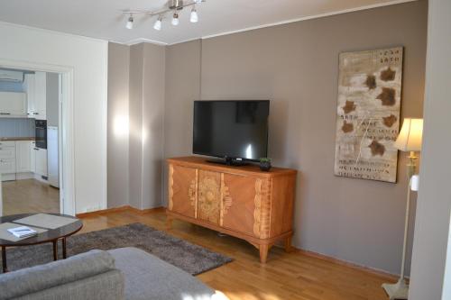 salon z telewizorem z płaskim ekranem na drewnianej szafce w obiekcie Skarmyra Apartment w mieście Moss