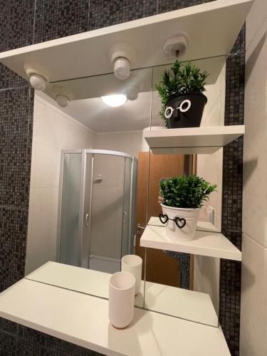 a bathroom with a mirror and two plants on shelves at Orlovs Family in Dobra Voda