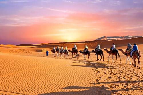 a group of people riding camels in the desert at Desert Luxury Camp in Mhamid