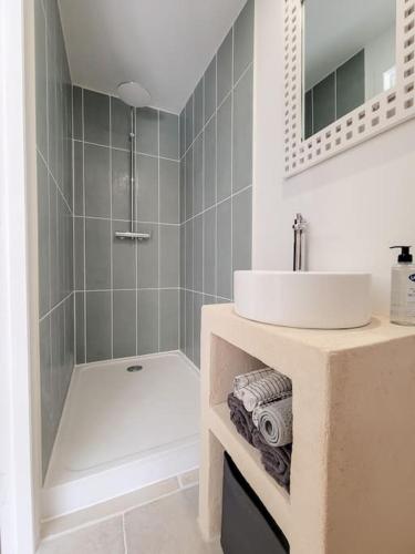 une salle de bain avec un lavabo et une douche dans l'établissement Studio Spacieux de Caractère, à Montaren-et-Saint-Médiers