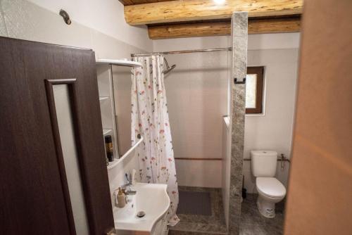 uma casa de banho com uma cortina de chuveiro e um WC em Bencekerti kulcsosház em Căpîlniţa