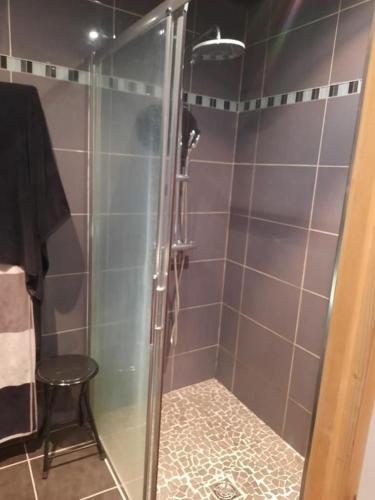 une douche avec une porte vitrée dans une salle de bain dans l'établissement Collioure appartement hyper centre, à Collioure