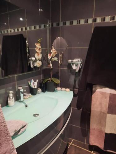 un bagno con lavandino e specchio di Collioure appartement hyper centre a Collioure