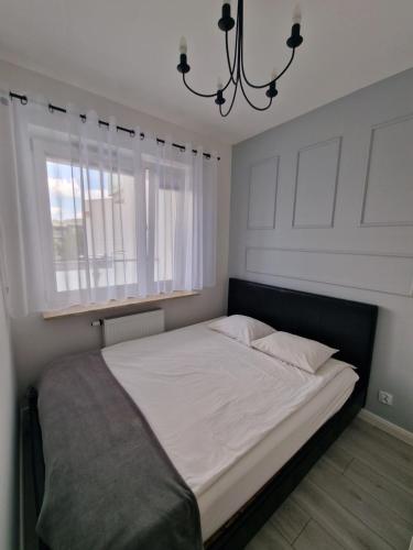 a large bed in a bedroom with a window at 60 - Apartamenty Siedlce - Nowy apartament w centrum przy ul 3 Maja 51a in Siedlce