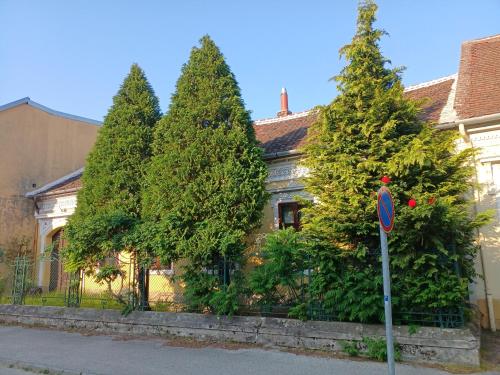 Blues Ryokan 9730 Kőszeg, 22 Rákóczi Ferenc utca kép - 3