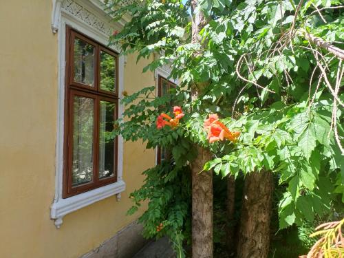 Κήπος έξω από το Blues Ryokan