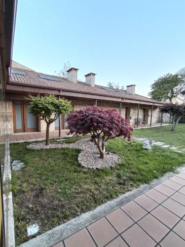 two trees in a yard in front of a building at Apartamentos Rias Baixas in Moaña