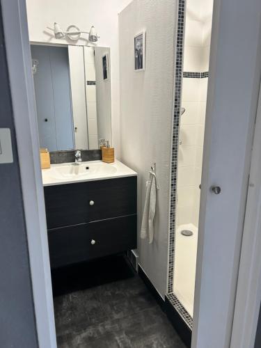 a bathroom with a sink and a mirror at Appartement terrasse privée grande plage à 100 m - Parking gratuit in Saint-Cast-le-Guildo