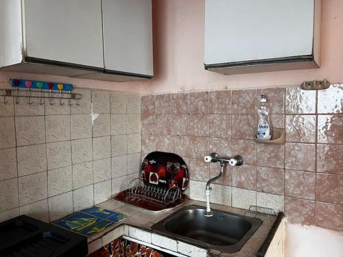 a kitchen sink with a skull in a basket next to it at Vintage Vibes - Family Flat in a Quiet Area in Sliven