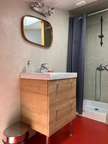 une salle de bain avec un lavabo et un miroir dans l'établissement Appartement Amarante, à Puy-Saint-Martin