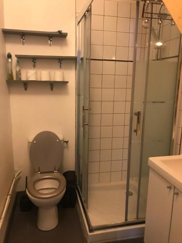 une salle de bain avec toilettes et douche dans l'établissement MAISON SPACIEUSE LA ROCHELLE, à La Rochelle