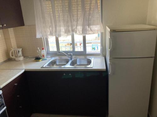 a kitchen with a sink and a refrigerator and a window at VILLA HARIKLIA in Paralia Katerinis