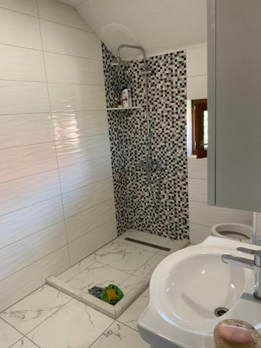een badkamer met een douche en een wastafel bij ARG Villa Sarajevo in Sarajevo