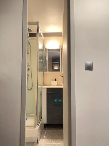 a small bathroom with a shower and a sink at Le Petit Chalet Addicted to Paradise in Tignes