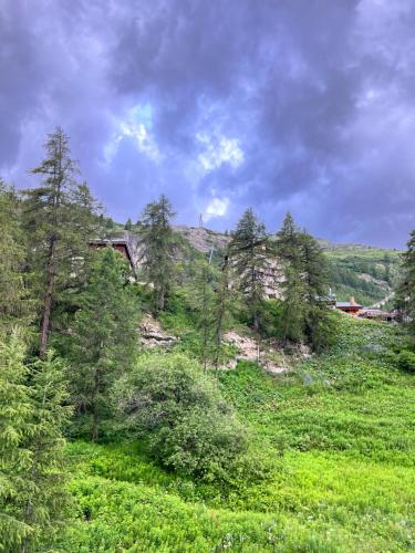 a green hill with trees and a bridge on it at Le Petit Chalet Addicted to Paradise in Tignes