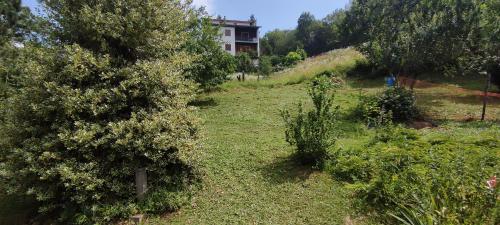 a house on the side of a hill with bushes at La Casetta in Codevilla - Roburent in Roa Marenca