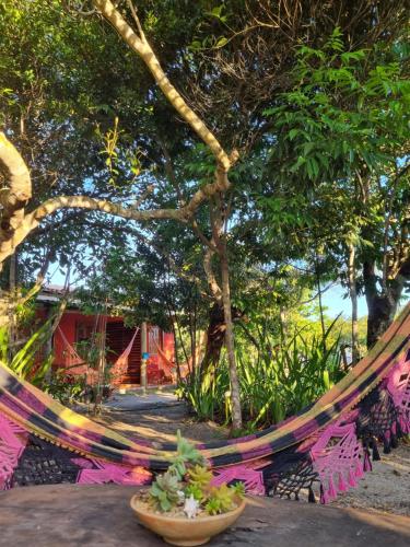 a hammock tied to a tree in a garden at Pousada Quintal dos Sonhos Xandó Caraiva in Caraíva