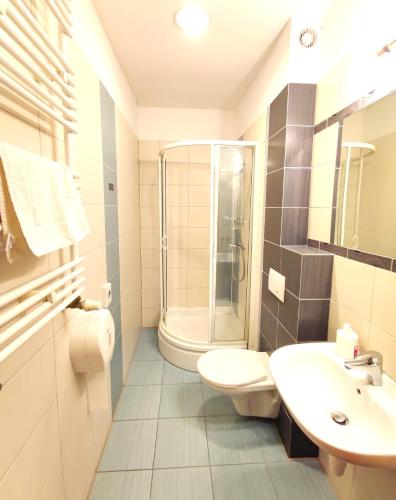 a bathroom with a shower and a toilet and a sink at Rezydencja 5 Dębów in Międzyzdroje