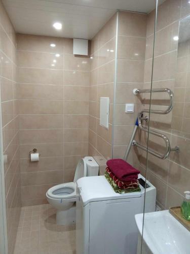 a bathroom with a toilet and a glass shower at Rannarajooni holiday apartment in Pärnu