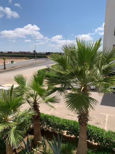 dos palmeras en frente de una carretera en La location de la mer, en Dar Bouazza