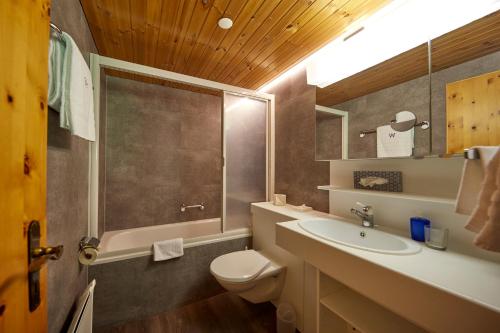 a bathroom with a toilet and a sink and a mirror at Hotel Waldhaus in Bettmeralp