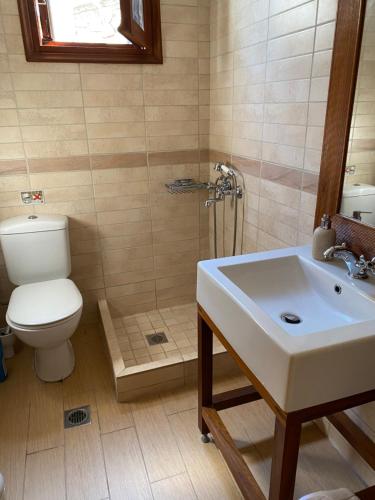 a bathroom with a toilet and a sink at Lemontree2 in Agios Nikitas