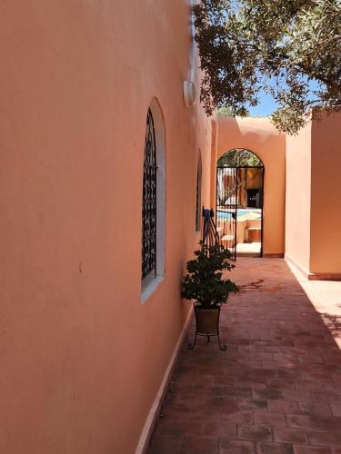 a building with a potted plant sitting on a sidewalk at Villa Al Kharoube in Essaouira