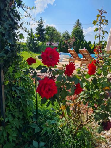 Zahrada ubytování Vila Tea Fruska Gora