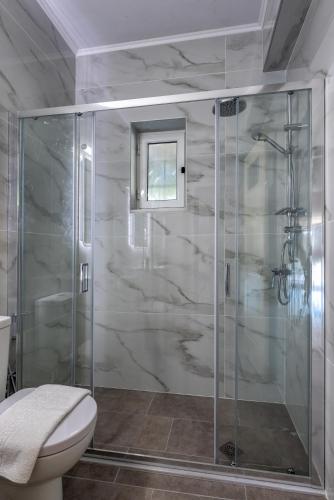 a bathroom with a glass shower with a toilet at Villa Elianna Lefkada in Tsoukalades