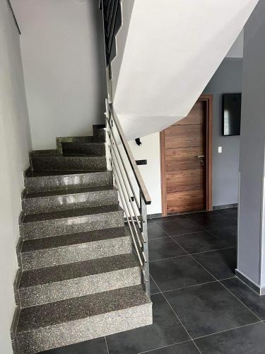 a staircase in a house with a wooden door at Edelweiss Villa Trpejca in Ohrid