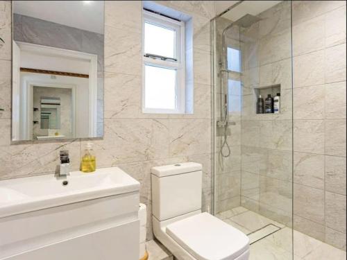 a bathroom with a shower and a toilet and a sink at Winchester Nest in Winchester