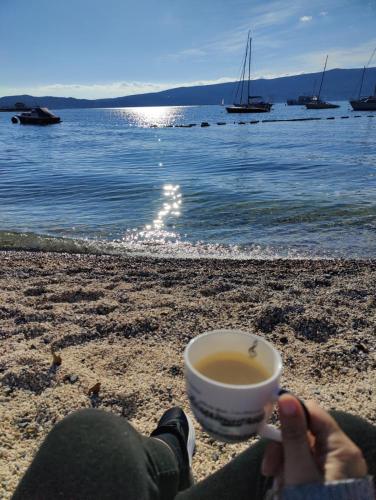 a person sitting on the beach with a cup of coffee at Miro guesthouse in Tivat