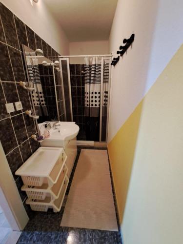 a small bathroom with a sink and a shower at Apartmani Dušica in Lumbarda