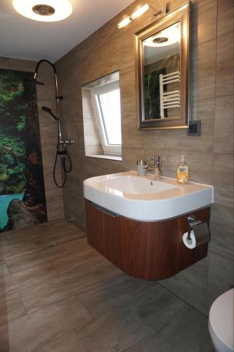 a bathroom with a sink and a mirror at Haus Friedel Überlingen am Bodensee in Überlingen