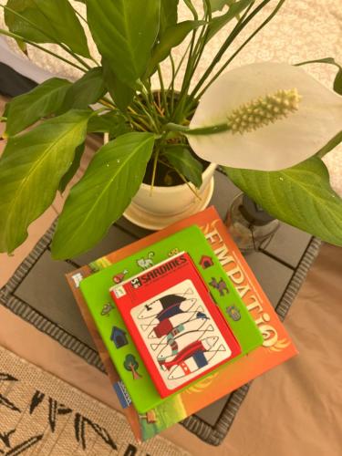 Mazury Glamping Kruklanki Polana Życzeń