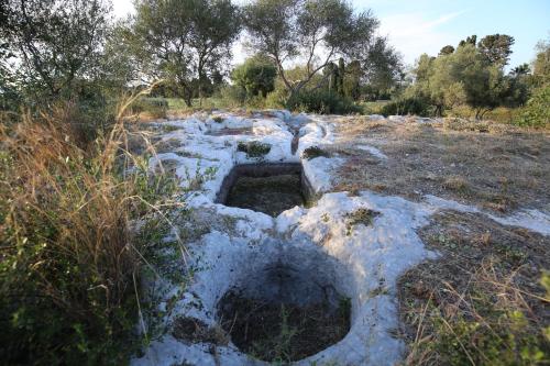 Φυσικό τοπίο κοντά σε αυτό το κατάλυμα σε φάρμα