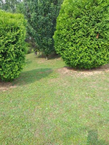 Un jardín fuera de Vila Dalmatinka