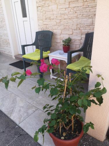 Apartman Borik
