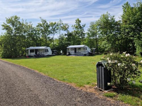 een camping met twee tenten aan de kant van een grindweg bij Lege Kampeerplaats, Camping Alkenhaer in Appelscha