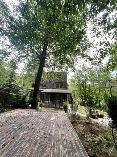 una casa con un árbol en la parte superior de una terraza de madera en Villa Breza Brezovice, en Brezovica