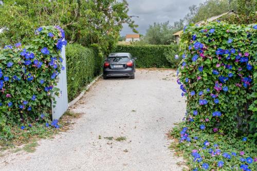 Κήπος έξω από το Quinta dos Pinheiros