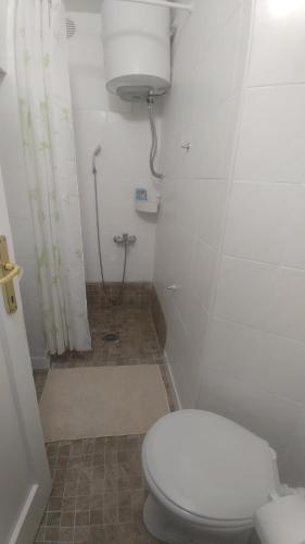 a small bathroom with a toilet and a shower at Kennedy apartment in Tošin Bunar