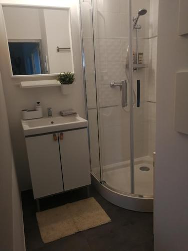 a bathroom with a shower and a sink at CENTRUM11 in Pécs