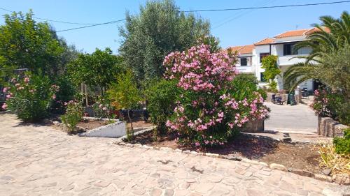 Gallery image of Anessis Cosmos in Anaxos