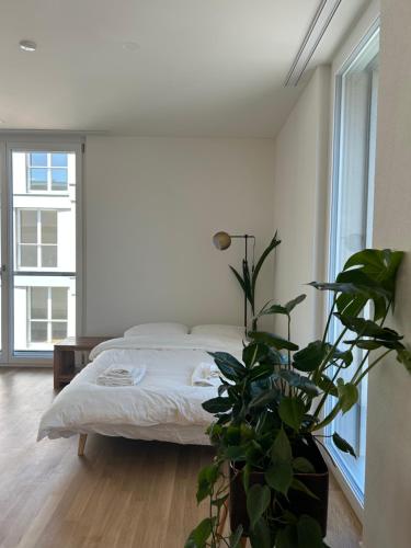 a white bedroom with a bed and a potted plant at The R Apartment Passwang, KLIMA, NEU, Balkon, Parking in Balsthal