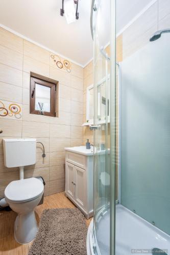 a bathroom with a toilet and a shower at Casa Dora in Suceava