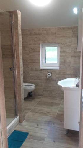 a bathroom with a shower and a toilet and a sink at Apartmány Audy 2 in Mníšek pod Brdy