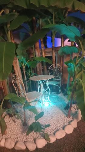a table and chairs in a room with plants at B&B Domus Aurea 20 in San Giovanni Teatino