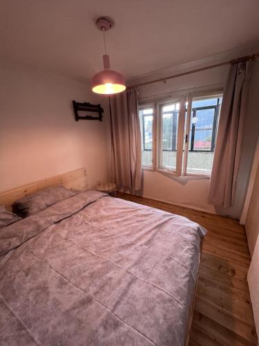 Imagen de la galería de Bear Hug Lodge, en Plav